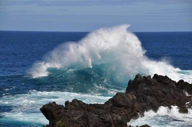 Apartment Palma Madeira wandern und tauchen