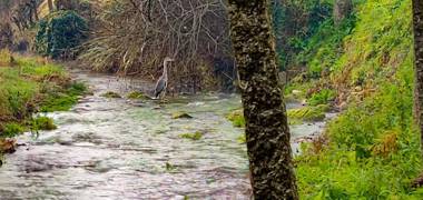 River House - Casas do Rio Tora