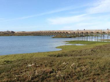 Hotel Apartamento A Floresta do Jose