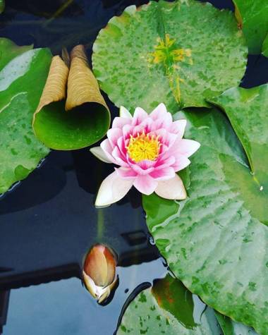 Guesthouse A Lareira