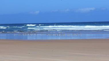 Herdade Quinta Natura Turismo Rural