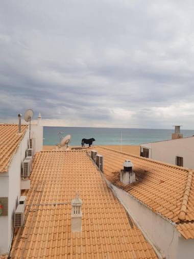 Edifício Sequeira - Alojamento Local by Portugalferias