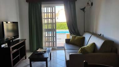 Tulipa Férias (29506)