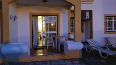 Tulipa Férias (29506)