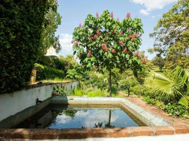 Country mansion in Montemor-o-Novo Alentejo with shared pool