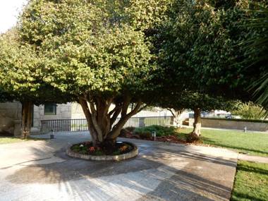 Quinta das Lavandeiras - Caldas de Vizela