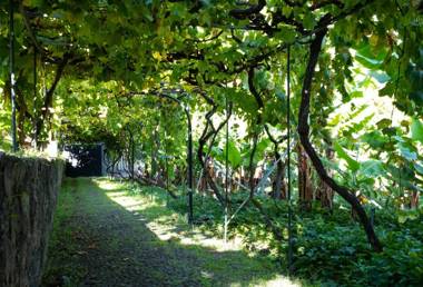 Casa do Feitor by OurMadeira
