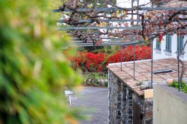 Loja da Lenha by OurMadeira