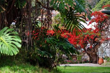 Loja da Lenha by OurMadeira