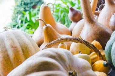 Quintal De Alem Do Ribeiro-Turismo Rural