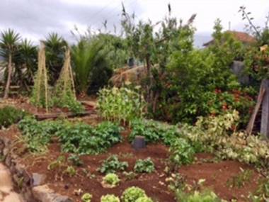 Little Norway in Madeira