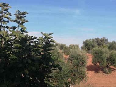 Burrico D`Orada - Lodging & Experiences