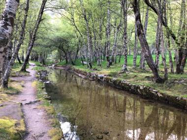 Casa dos Jasmins by Lisbon Village Apartments