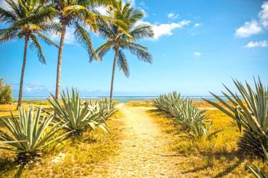 Appartement Le Galawa avec les pieds dans l'eau à Saline-les-Bains pour 5 personnes