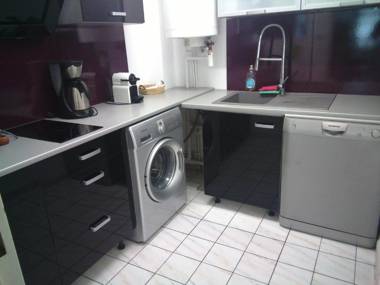 Entre cocotiers et Filaos