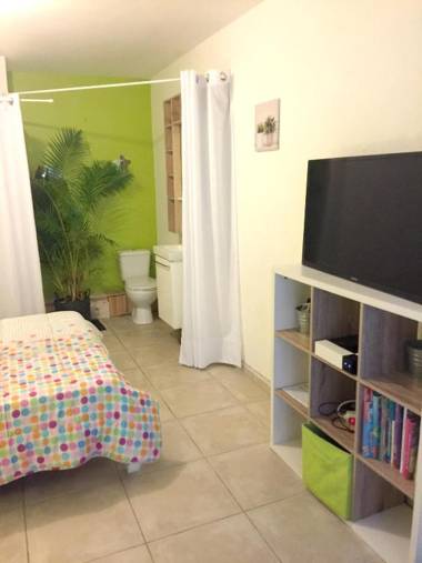 Maison de 2 chambres avec piscine privee jardin amenage et wifi a Saint Joseph a 6 km de la plage