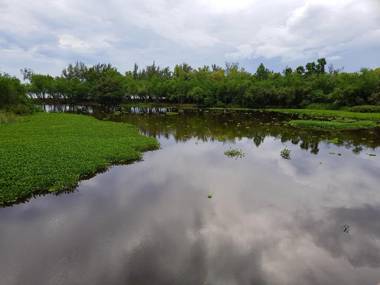 Maison de 2 chambres avec vue sur la mer jardin clos et wifi a Saint paul