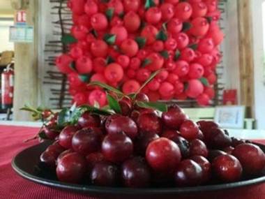 Au coeur de la Cascade Biberon