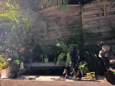 Les Résidences du Niagara