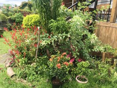 Maison de 3 chambres avec vue sur la mer jardin clos et wifi a Saint Andre