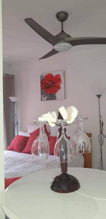 Studio avec jardin clos et wifi a Saint Benoit