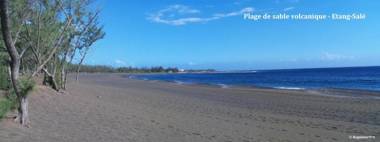 Les Hibiscus de la Rivière