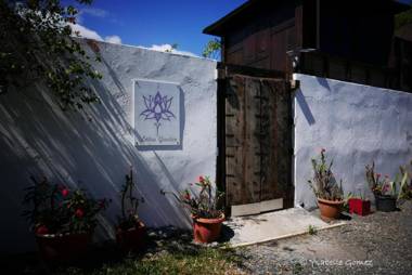 Lotus Garden - Île de la Réunion
