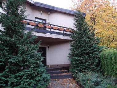 Pensiunea Bamboo - Villa