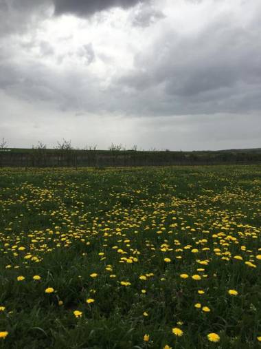 Casa Antonia Homestay