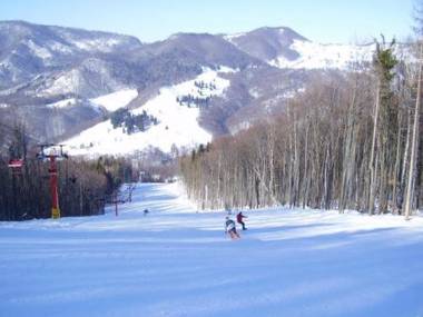 Casa de vacanta Mogosa