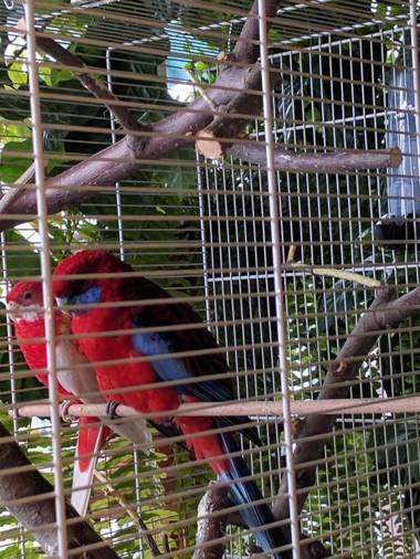 Pensiunea Catering Bio Concept SRL