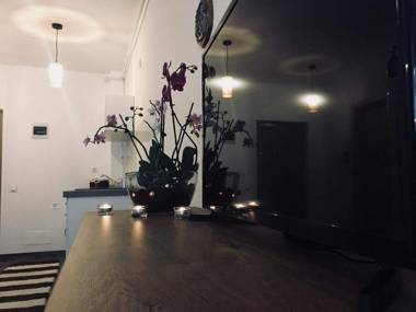 Cluj City Iris Appartment