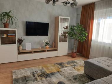 City Apartment Cipariu