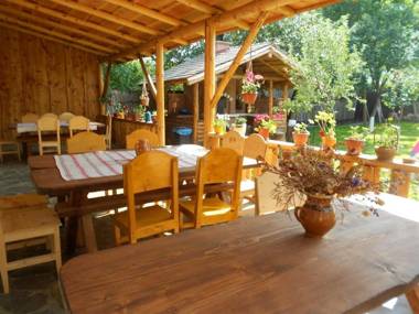 Sura Pietrei Craiului