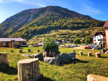 Pensiunea 3 Brazi Zarnesti