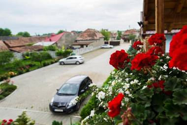 Pensiunea Daiana Residence