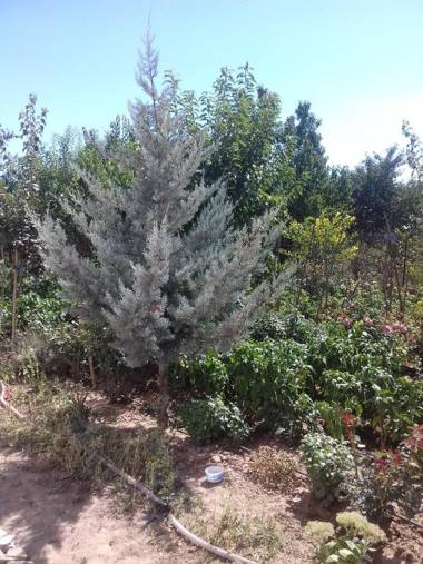 PENSIUNEA AGROTURISTICĂ ANGHELIKI
