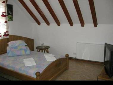 Casa cu flori Murighiol