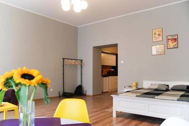 Apartment City Centre Timisoara