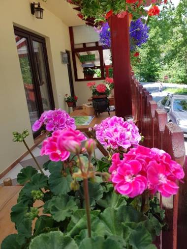 Casa de Vacanta Razvan si Andrei