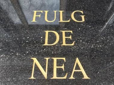 FULG DE NEA