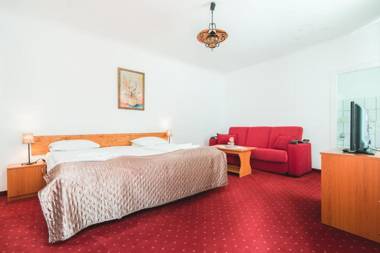 Guesthouse Casa Baciu