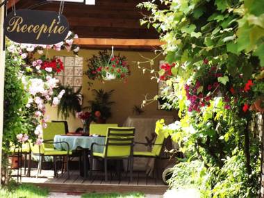 Vila Fortuna - Art O'Clock