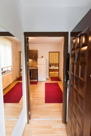 Xenopol Central Apartment