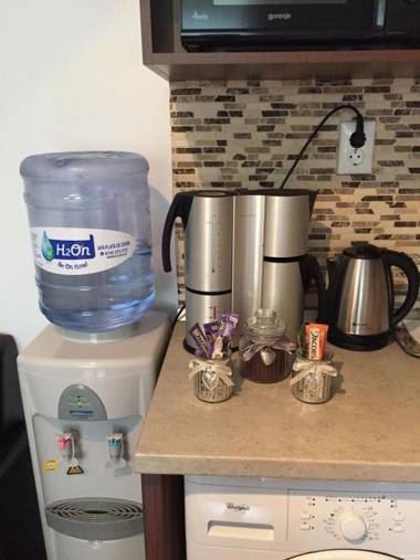 Xenopol Central Apartment