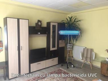 Rodica Apartment