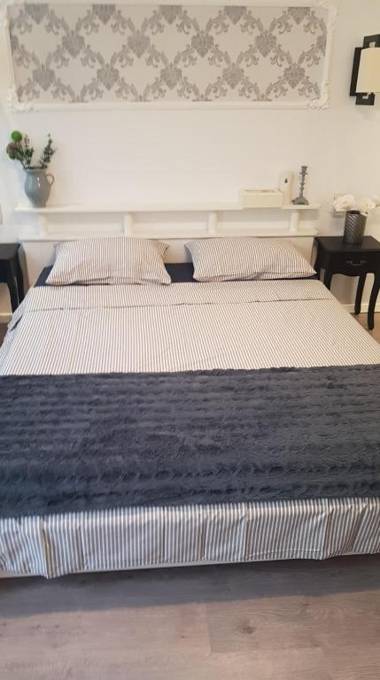 Casa Randunicii - Swallow House