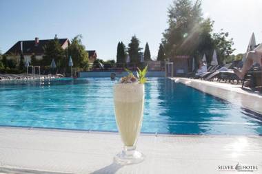 Hotel Silver