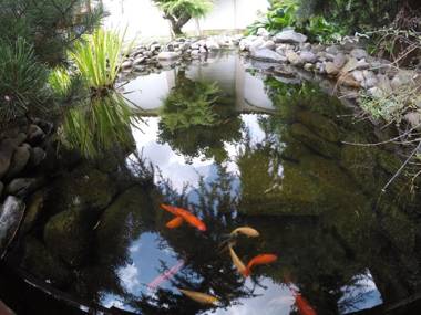 Cristi's Rooms - Pensiune