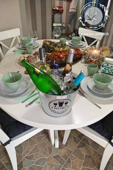 Pensiunea La Salcia Linistita